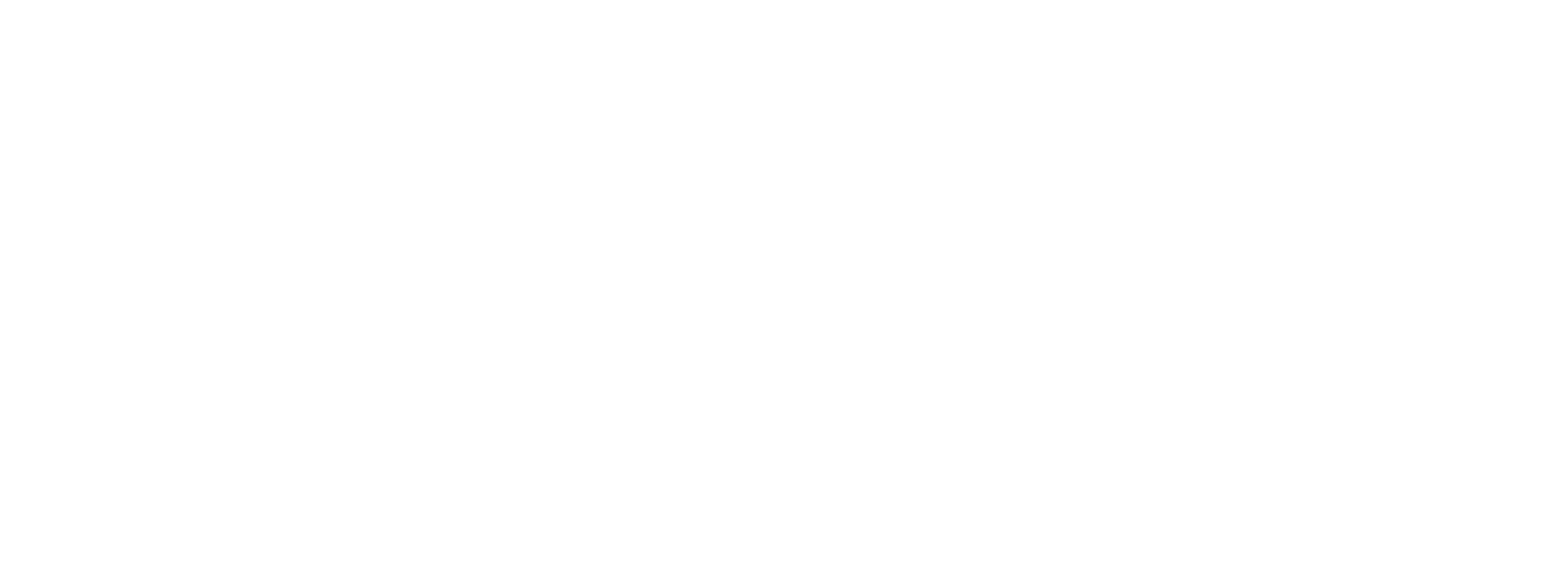 vaida-logo-white