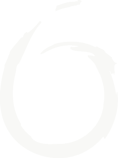 vaida-icon-transparent