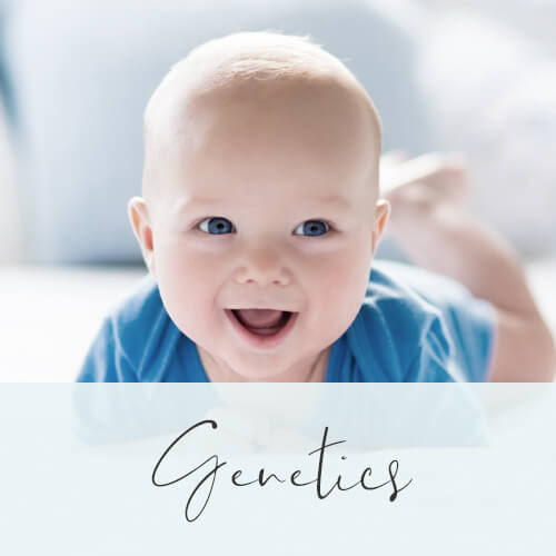 genetics genetics