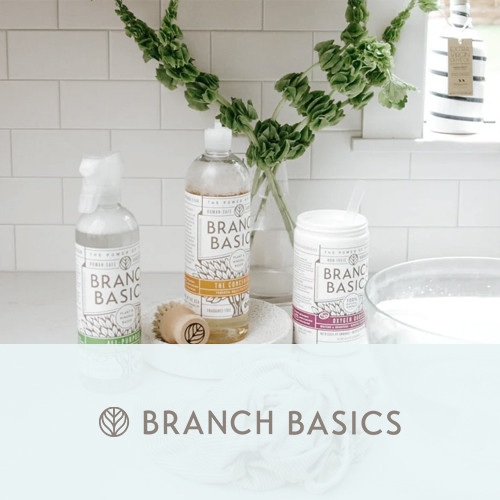 branch-basics